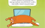 eco_cat_placards-04_2312124522